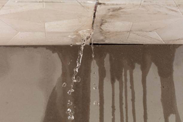 Professional Burst Pipe Cleanup technician working in Greenfield, MN